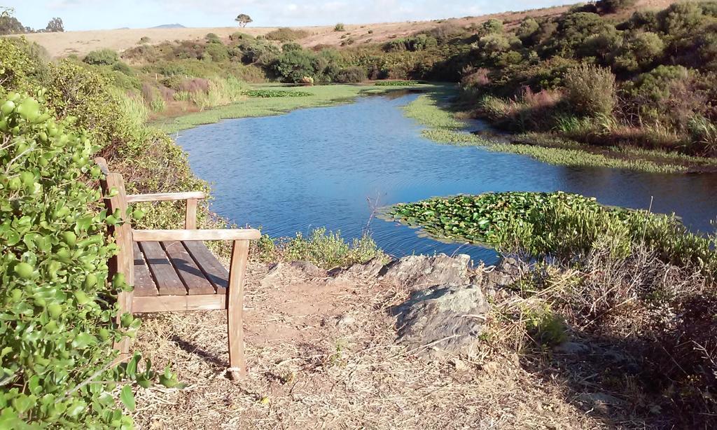 Herdade Do Pessegueiro Porto Covo Zewnętrze zdjęcie